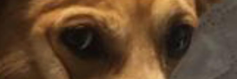 ValeryAbella's profile banner image