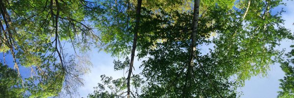 CatyArevalo Profile Banner