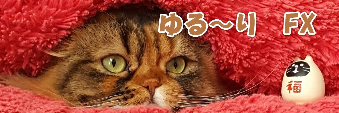 nekojirofx's profile banner image