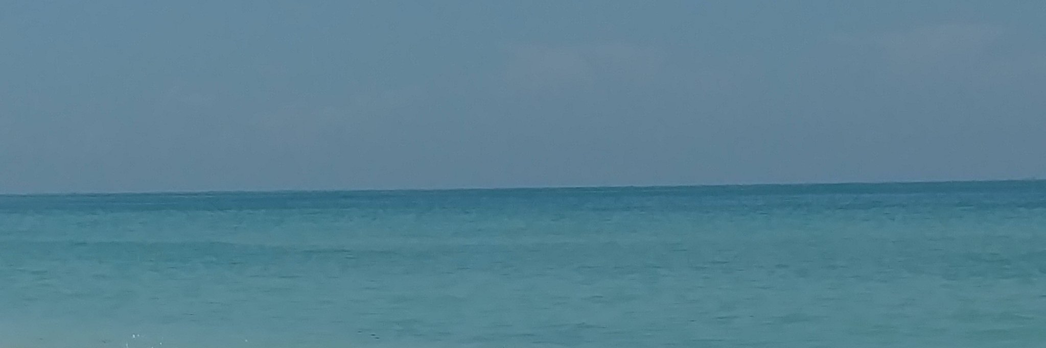 tschroeder01's profile banner image
