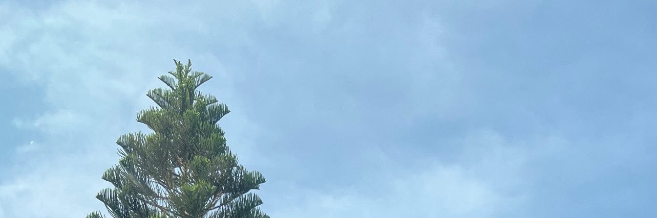 momo banner