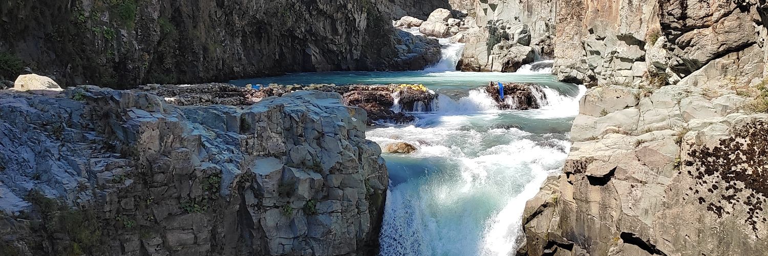 Zahid Mushtaq banner