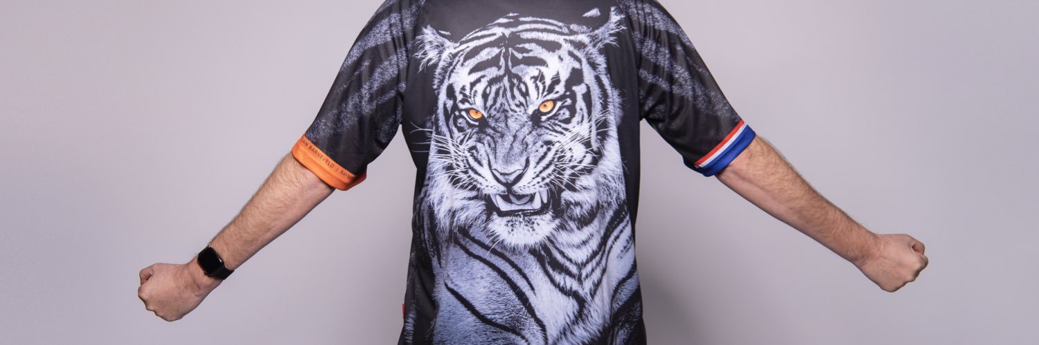 Raymond van Barneveld banner