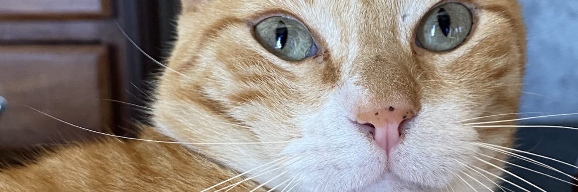 yulibethhh's profile banner image