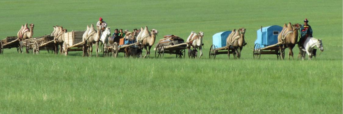 ariunbold tserenjav banner