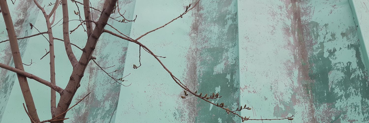 zabava_not's profile banner image