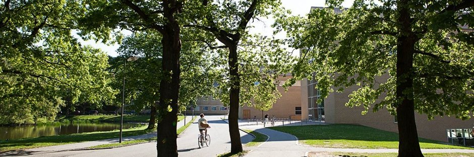 Katherine Musliner banner