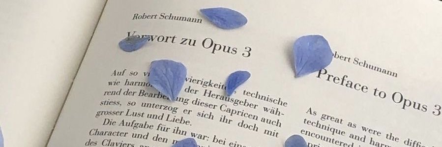 kornpath_'s profile banner image