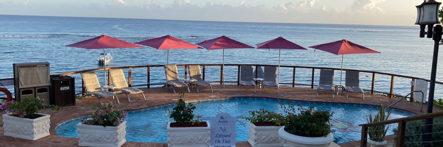 Allison Thompson banner