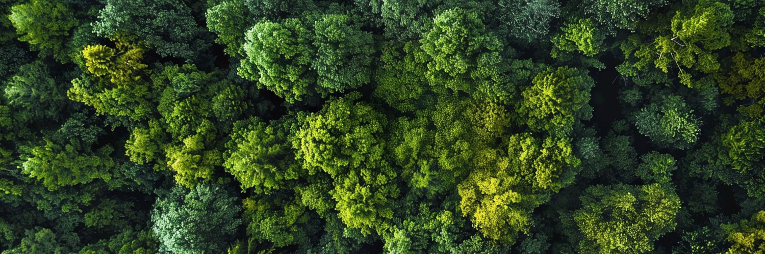 Edward 🇺🇬🇧🇭 banner