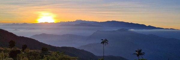 DrButterflyH Profile Banner
