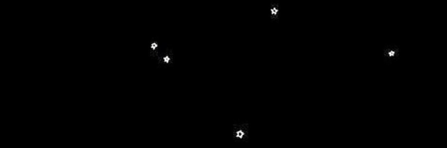 erikatesc's profile banner image