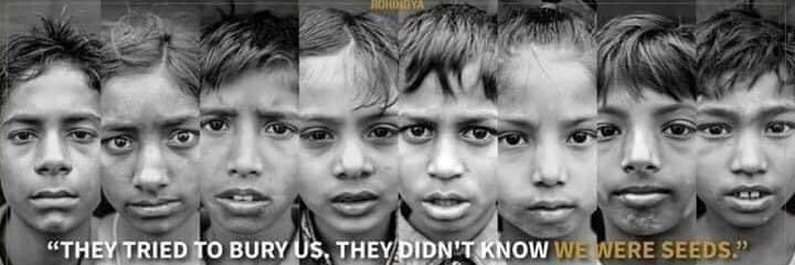 Mohammed Dullah banner