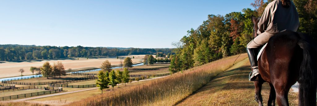 FoxhallResort's profile banner image