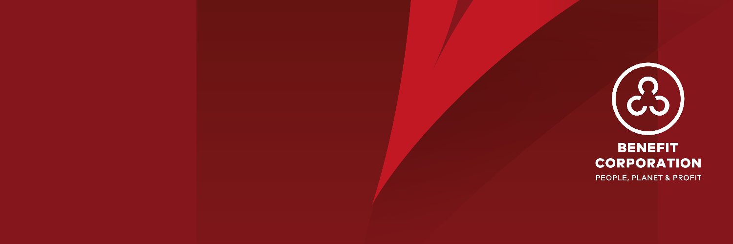 Critical Software banner