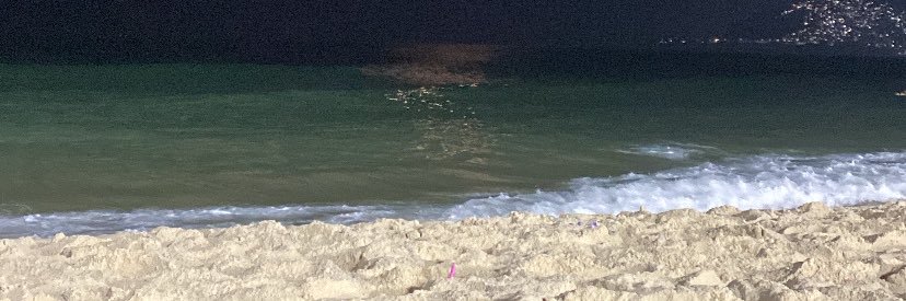 Thaina07's profile banner image