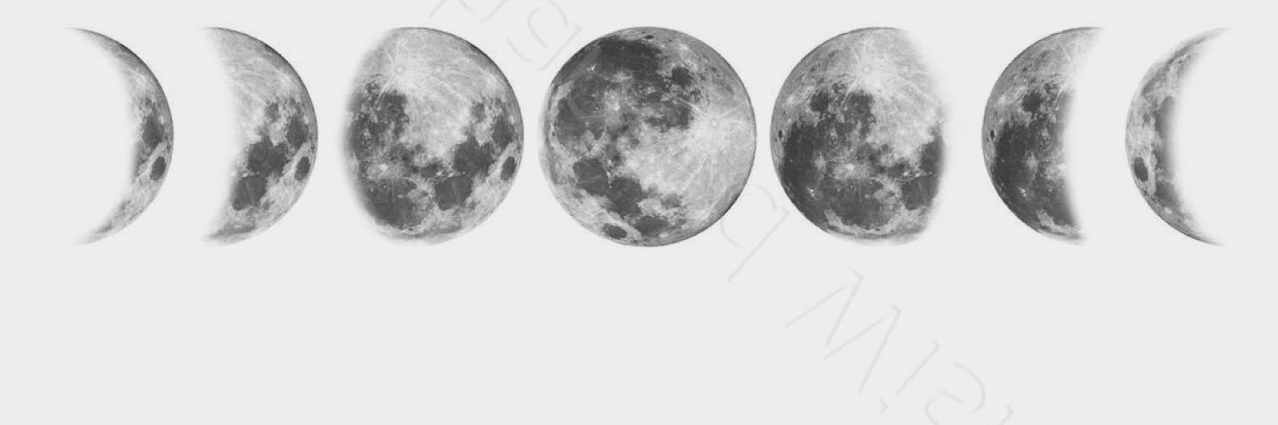 AlexandraWarwi1's profile banner image