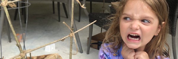 Stephsteph37 Profile Banner