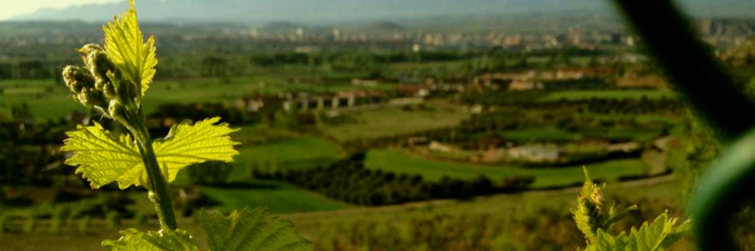 CarGable's profile banner image