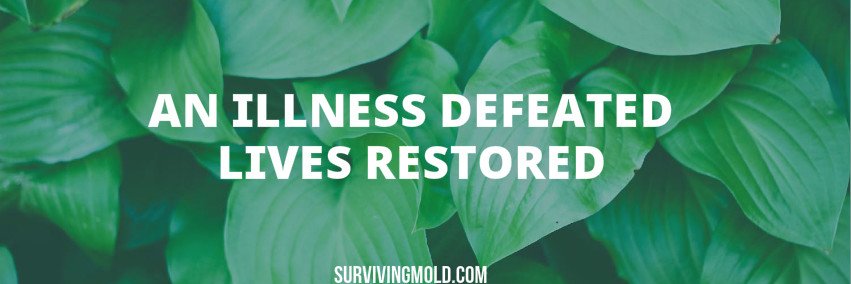 SurvivingMold's profile banner image