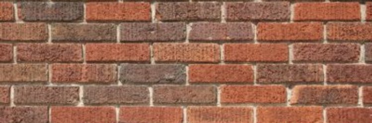 Festinalente_GK's profile banner image