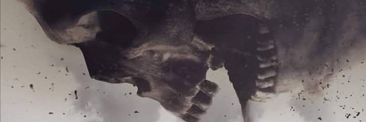 catoplepas's profile banner image