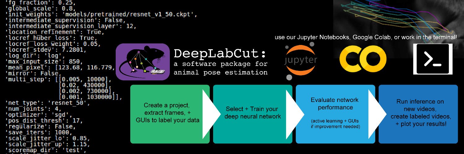 DeepLabCut 🦄 banner