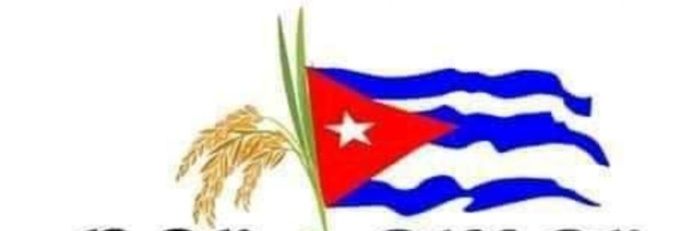Julio Bismar banner