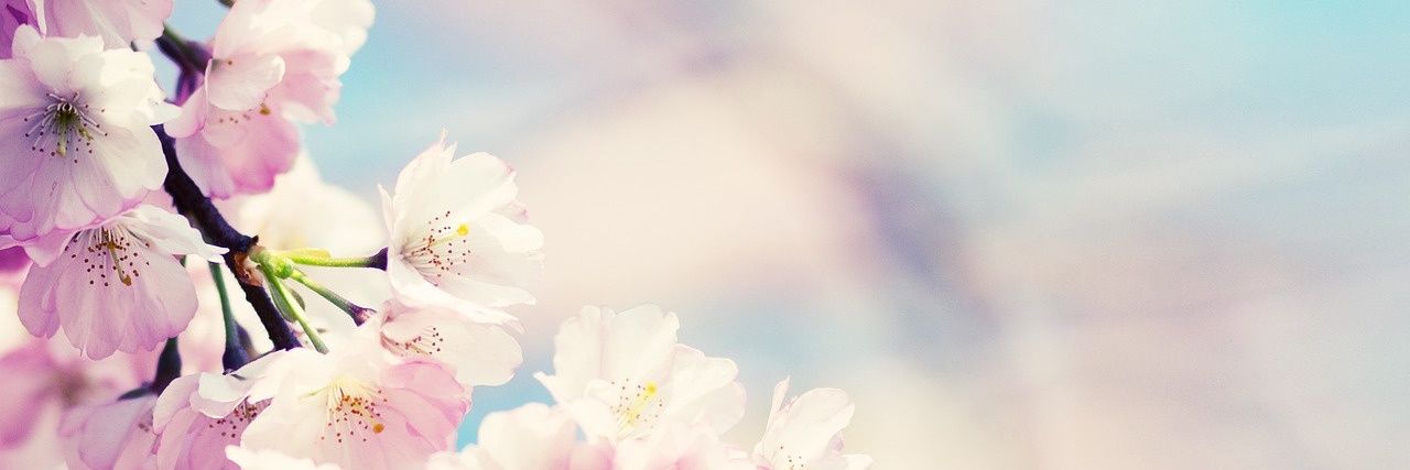 biolapassos's profile banner image