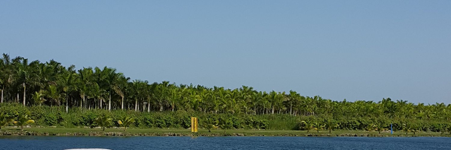willi55555's profile banner image