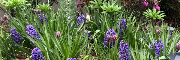 DantonSix Profile Banner