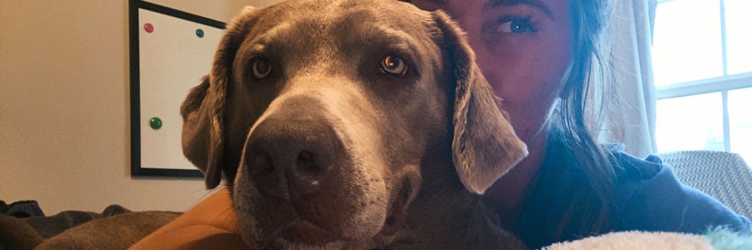 Jac_attack2's profile banner image