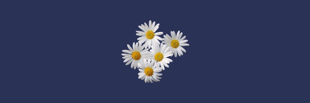 Beauty tips （╹◡╹）♡ banner