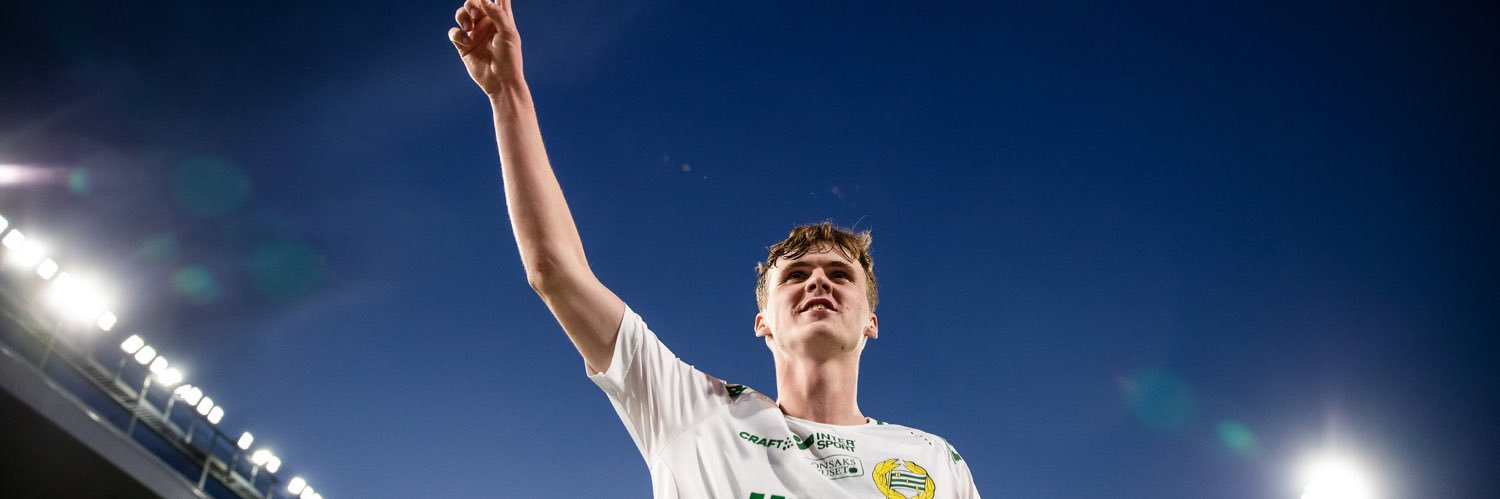 malmgreenn's profile banner image