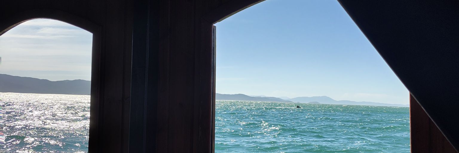 aylencghi's profile banner image
