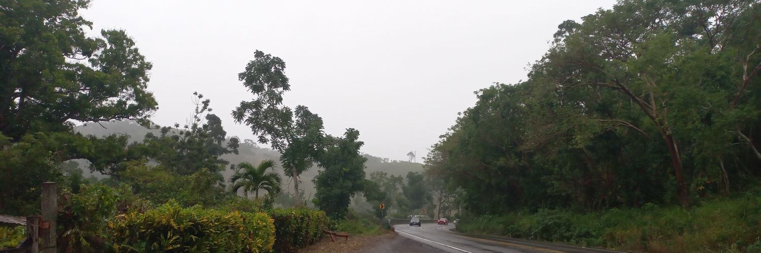 pawoolis's profile banner image