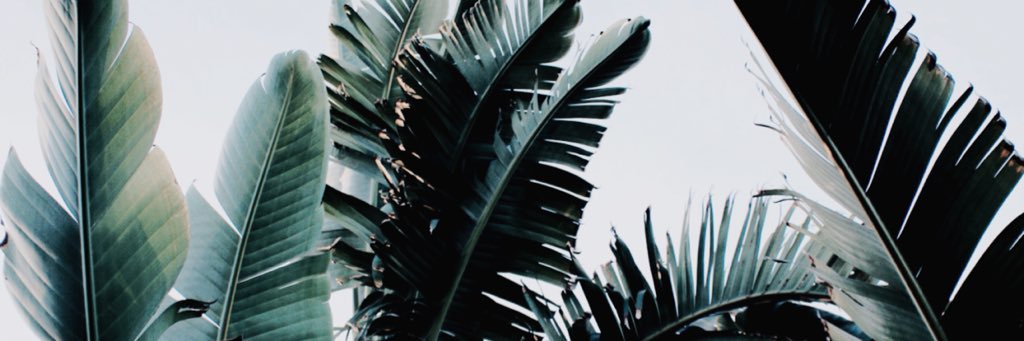 MorganWilsonnn's profile banner image