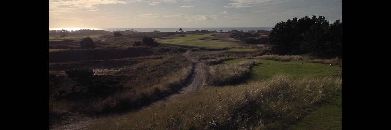 Daniel Koernke banner