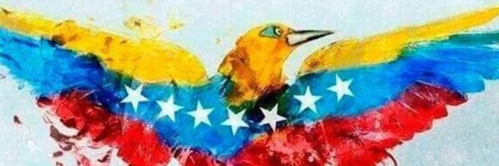 nodagonb's profile banner image