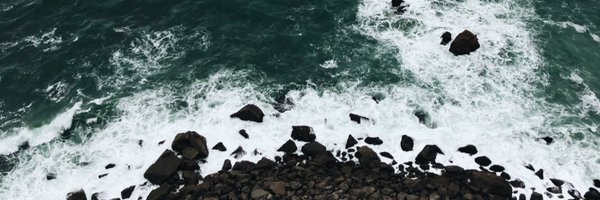 alyonational Profile Banner