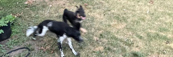 pDavidVG97 Profile Banner