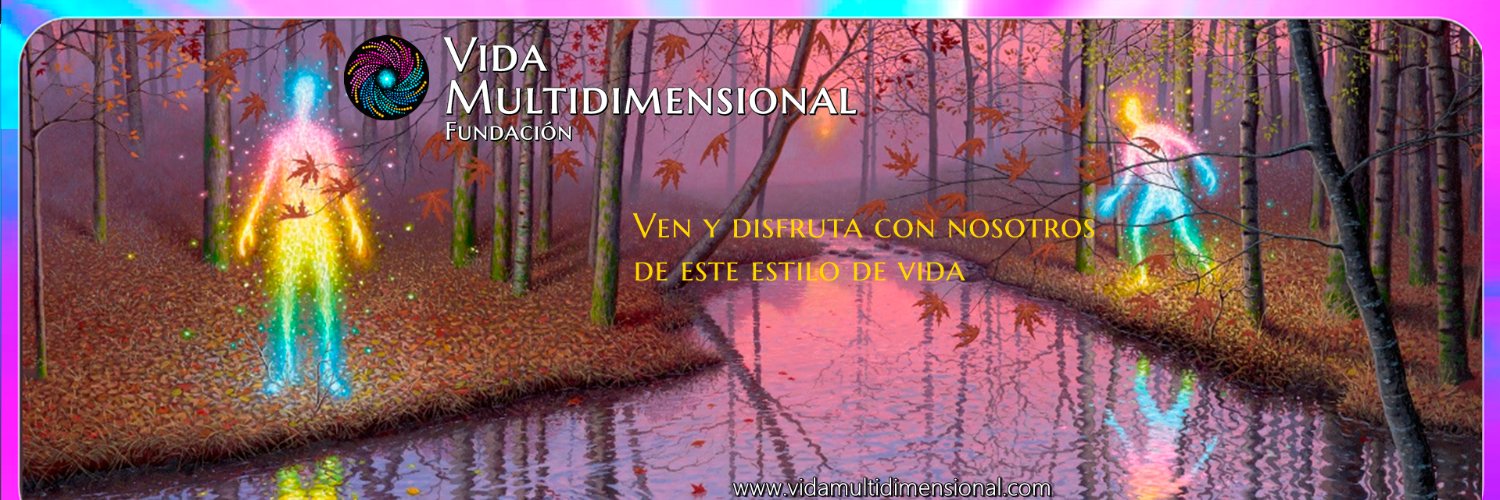 Vida Multidimensional Fundación banner