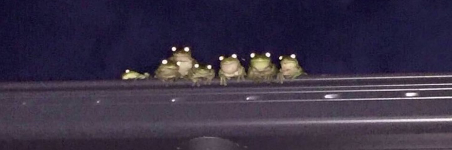 I Touch Dirt dot com banner