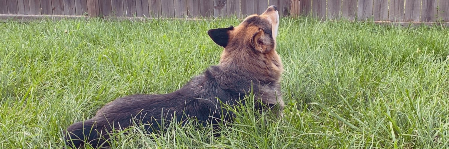 𝖫𝖾𝗑𝗑𝗎𝗌 𝖦𝗋𝖺𝗁𝖺𝗆-𝖡𝗅𝗂𝗇𝖼𝗈𝖾 banner