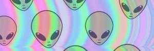 DamnDucks111's profile banner image