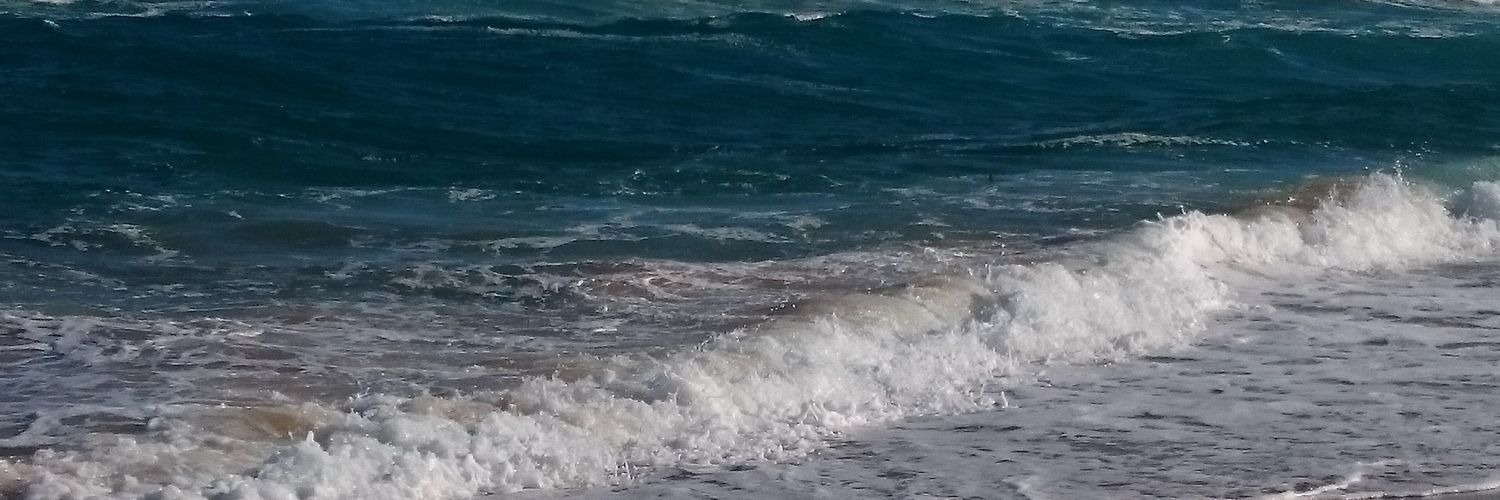 Karosha Reddy banner