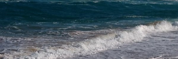 karoshareddy Profile Banner