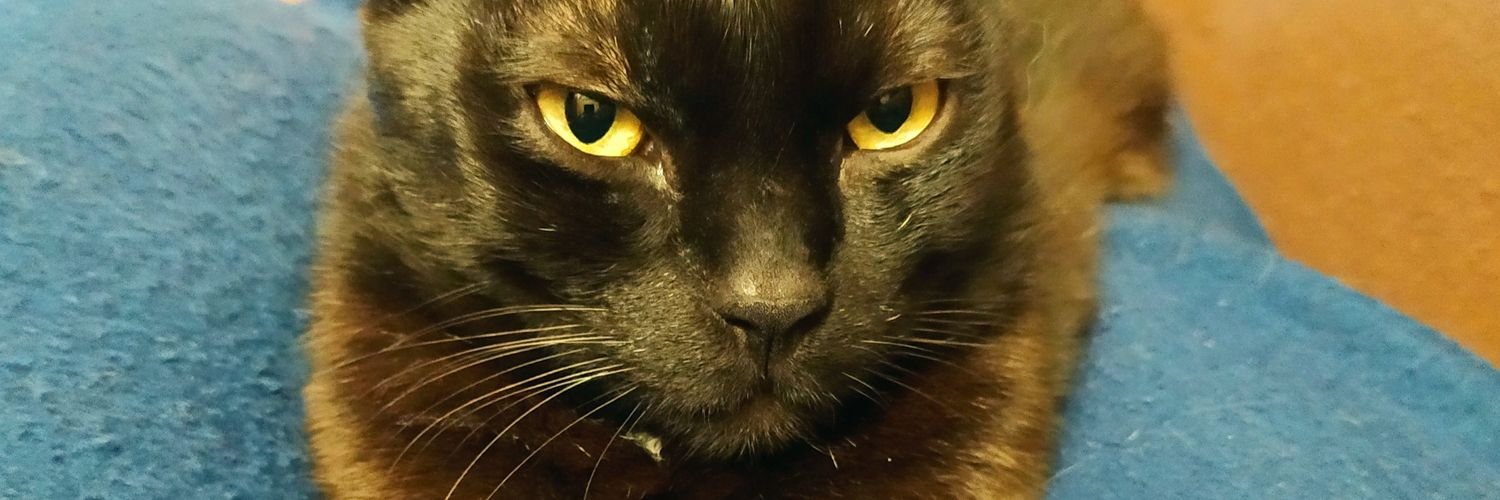 merimee's profile banner image