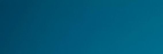 Ryan banner