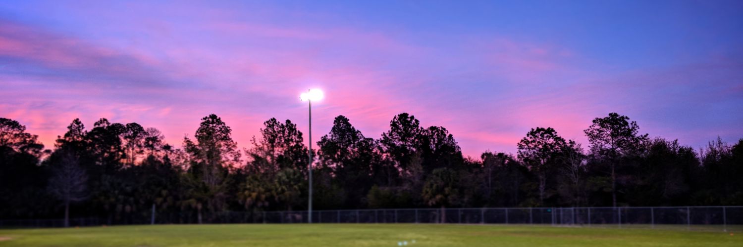 DSuzanne's profile banner image